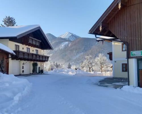 Unterwoehrlehen Appartement Faistenau Buitenkant foto