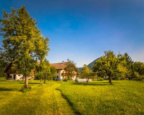 Unterwoehrlehen Appartement Faistenau Buitenkant foto