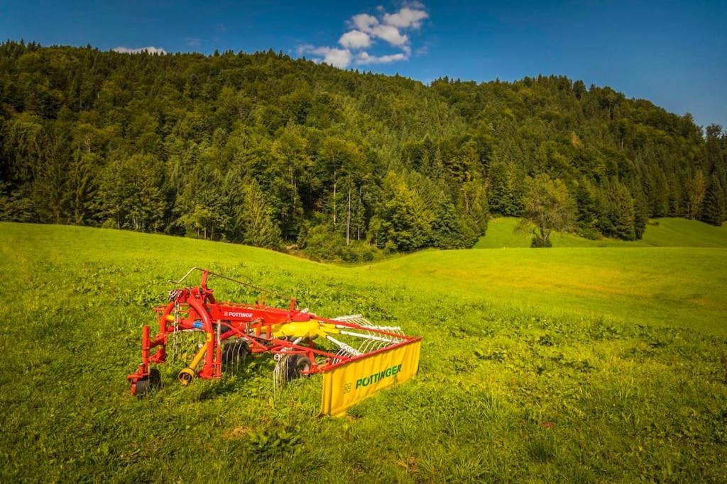 Unterwoehrlehen Appartement Faistenau Buitenkant foto